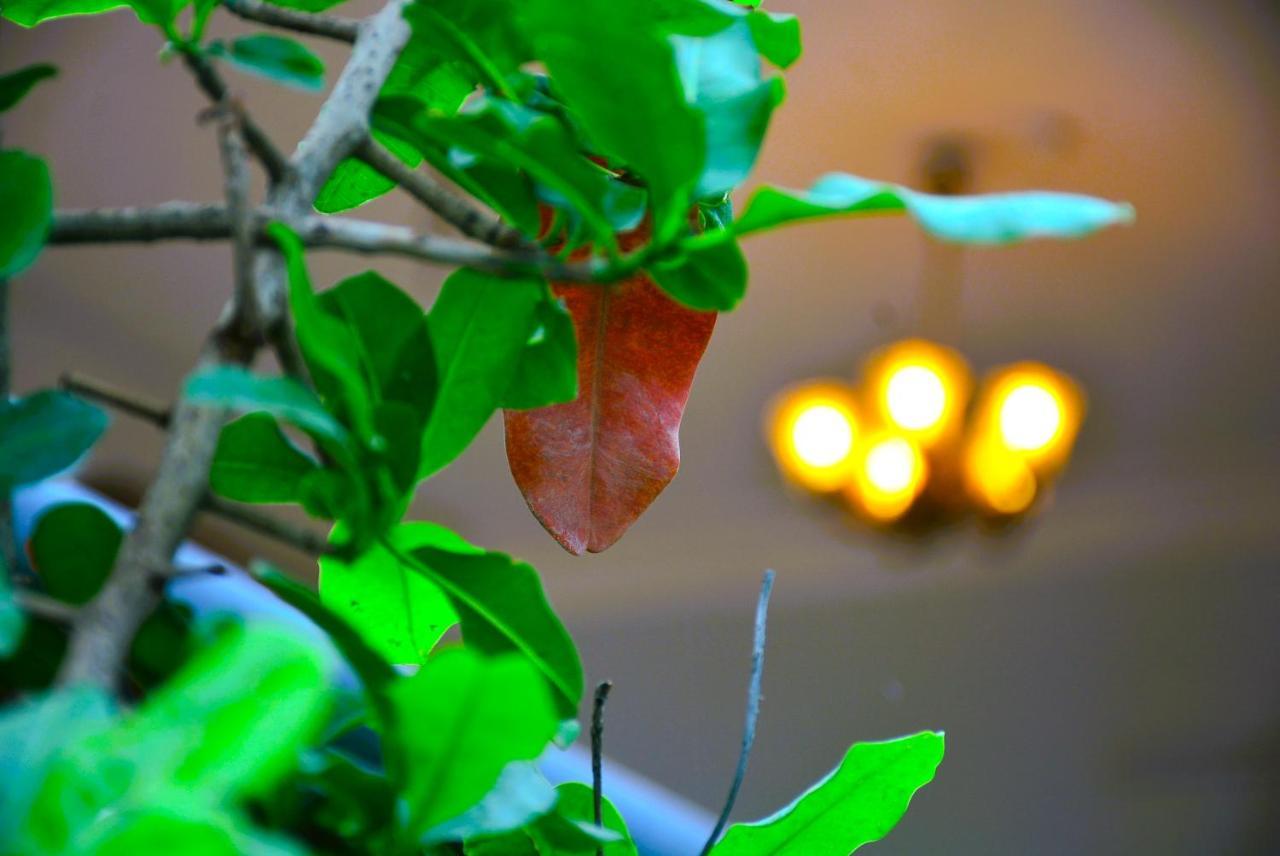 Malaiya Homestay - Grandeur Living Experience Jabalpur Bagian luar foto